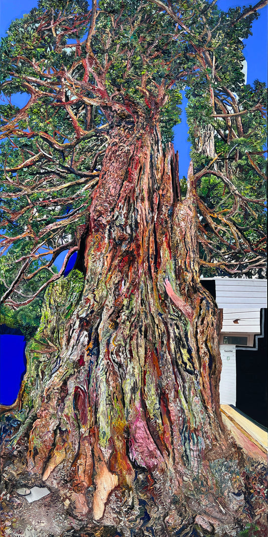 Sequoia