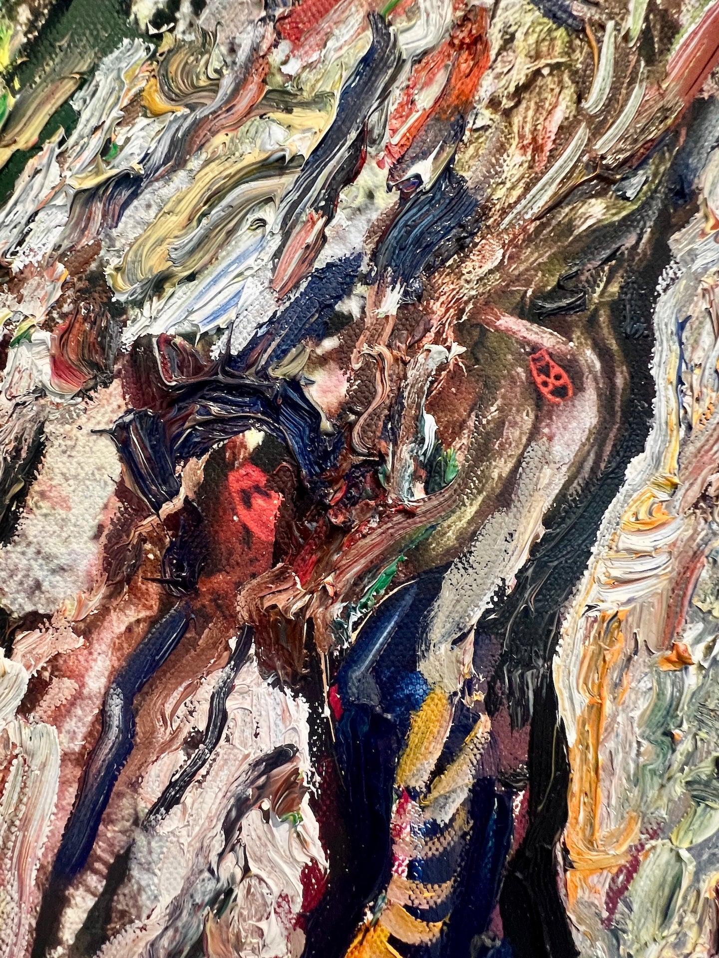 Sequoia